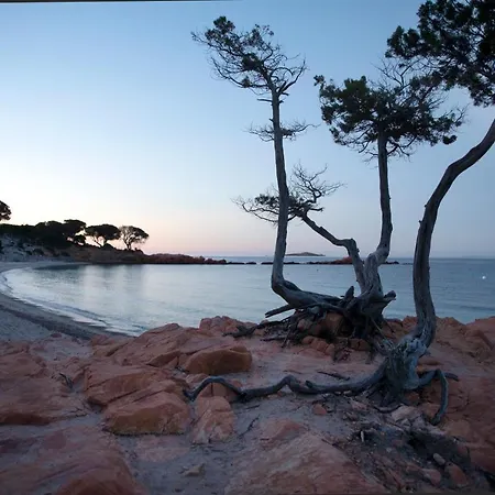 Résidence U Latonu - Palombaggia *