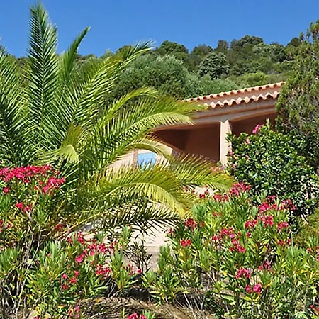 Semesteranläggning (resort) U Latonu - Palombaggia *