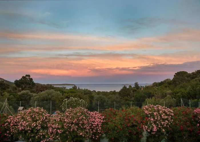 U Latonu - Palombaggia Semesteranläggning (resort) Porto-Vecchio (Corsica)